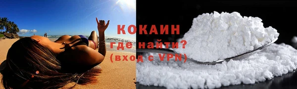 стаф Нея