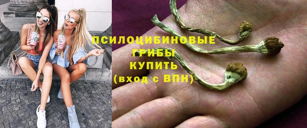 стаф Нея