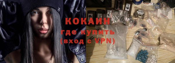 стаф Нея